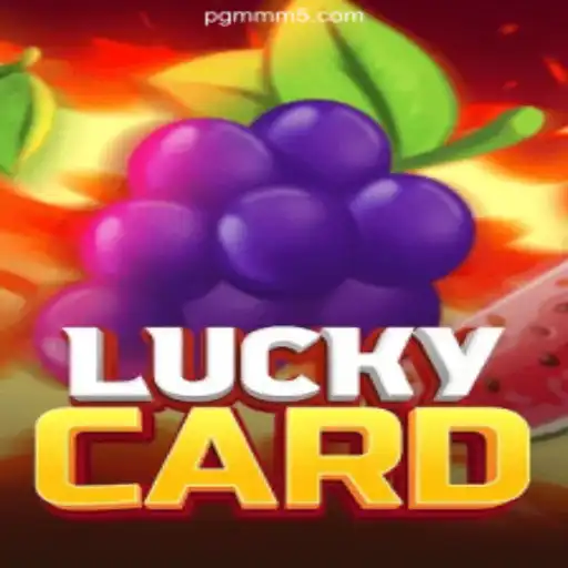 Discover the Thrilling World of LuckyCard on MMM5.COM: Brazil's Premier Online Slots Platform